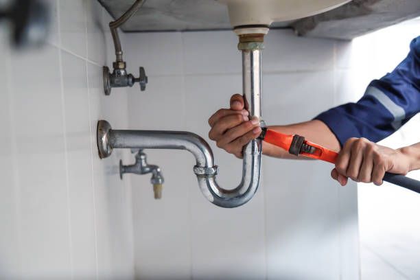 Best Local Plumber Services  in Grayvle, IL