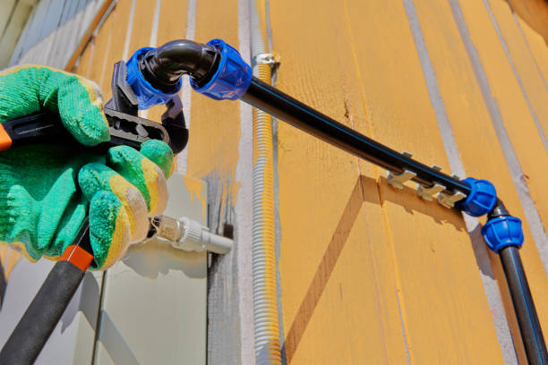 Best Local Plumber Services  in Grayvle, IL
